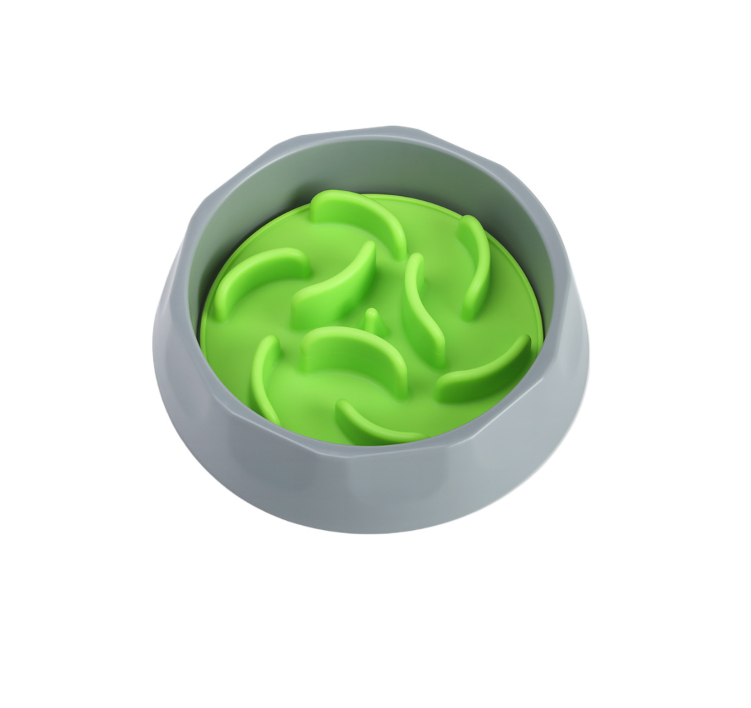 slow feeder dog bowl