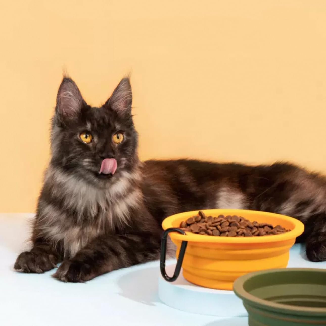 YB-155 Collapsible Silicone Pet Bowl - size and dimensions