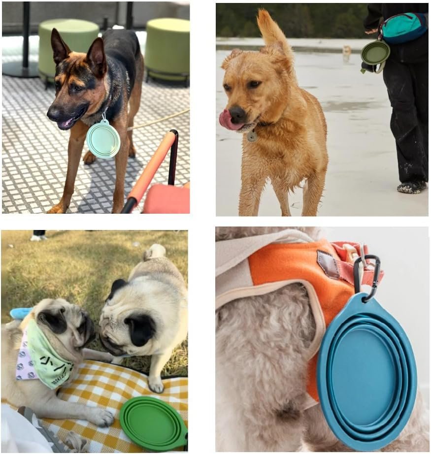 YB-155 Collapsible Silicone Pet Bowl - application view
