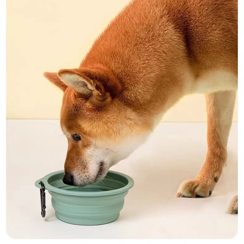 YB-155 Collapsible Silicone Pet Bowl - available color options